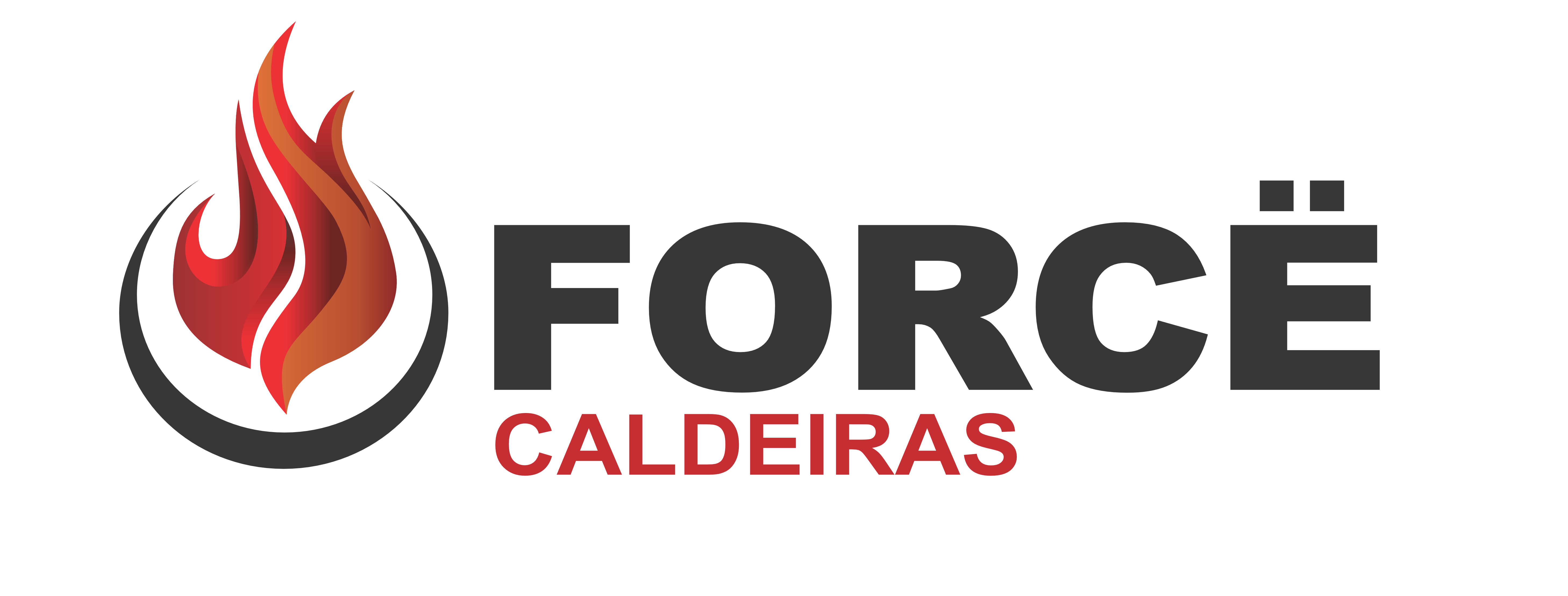 caldeiras de fluido térmico